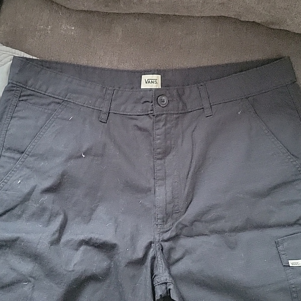 Vans cargo shorts